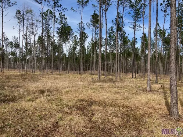 Clinton, LA 70722,Y-1-A-1-D Pace Rd