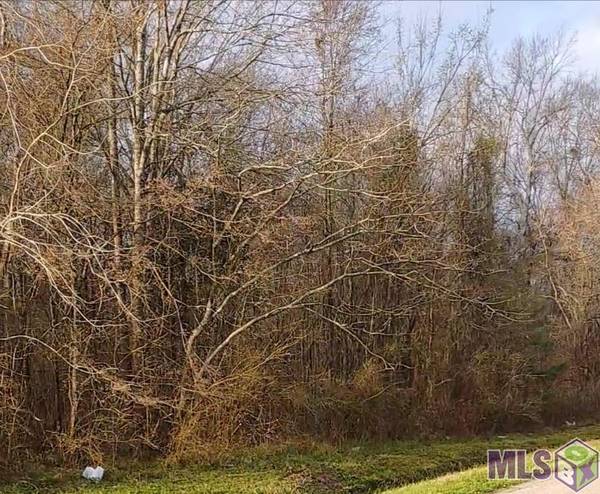 Lot 51-A&B El Scott Ave, Baton Rouge, LA 70811