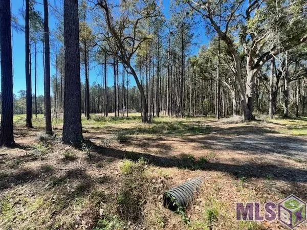 Lot 38 Nesom Rd, Denham Springs, LA 70706