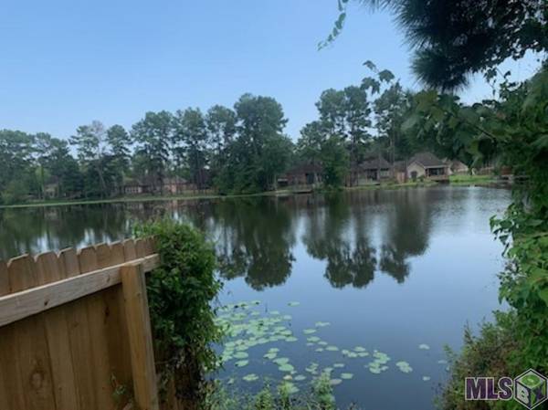 12542 N Lakeshore Dr, Walker, LA 70785