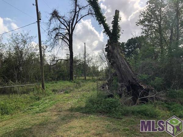 LOT N Center St,  Rosedale,  LA 70772