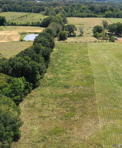 Lot A-1-A-1 Core Ln, Central, LA 70714