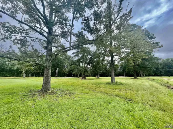 34193 Friend Ln, Walker, LA 70785