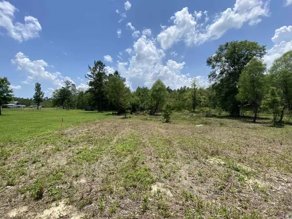 16740 Watkins Rd, Walker, LA 70785