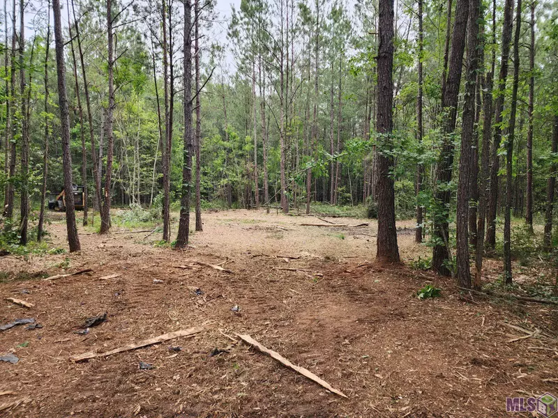 Tract R-2-C La Hwy 43, Independence, LA 70443