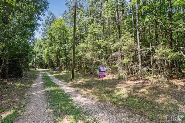 Clinton, LA 70722,Lot 1 Pace Rd