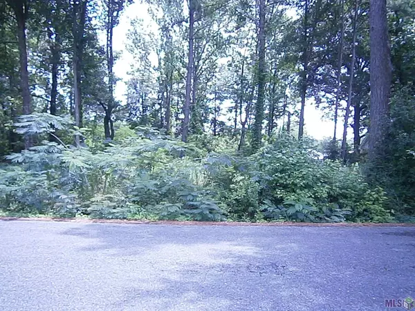 Baker, LA 70714,Lot A-3 Ocallaghan Ln