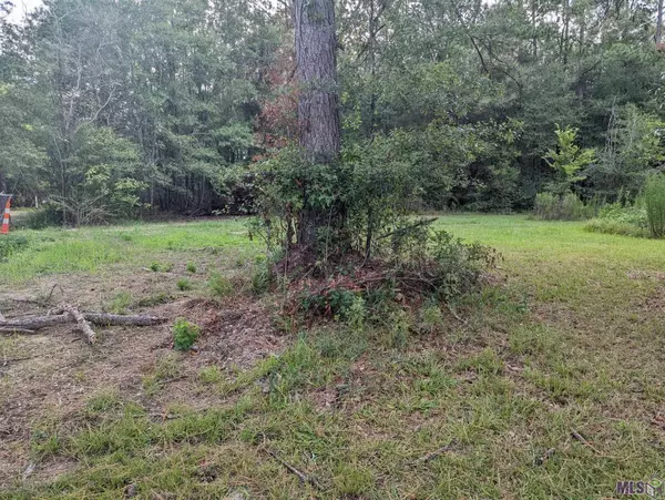 Walker, LA 70785,14681 Springfield Rd