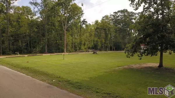 Holden, LA 70774,28262 Pecan St