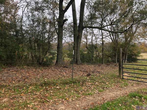 Jackson Louisiana Rd, Woodville, MS 39669