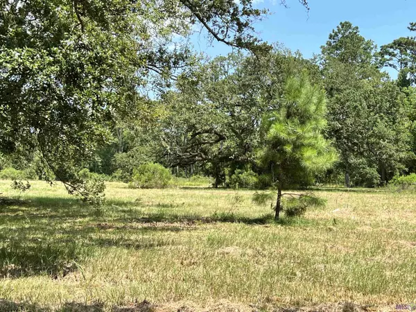 Springfield, LA 70462,27516 Patterson Rd