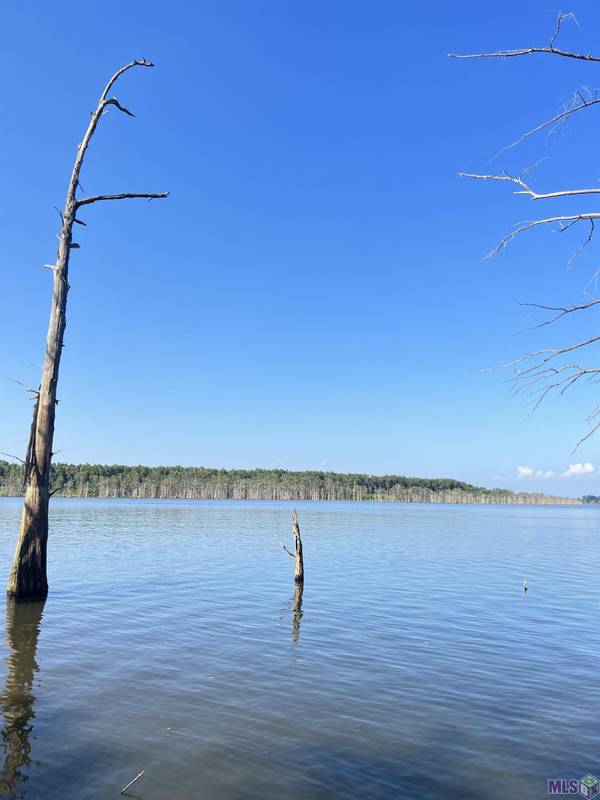 TBD Lakeshore Rd, Woodville, MS 39669