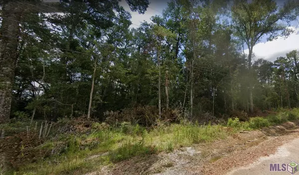 Lot 4 Lakeview Dr, Holden, LA 70744