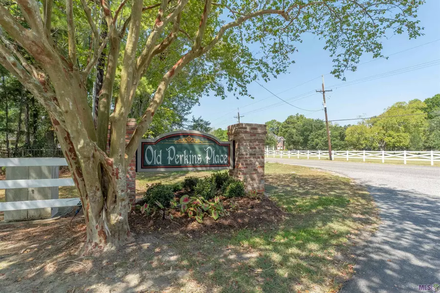 18253 Old Perkins Place Ave, Prairieville, LA 70769