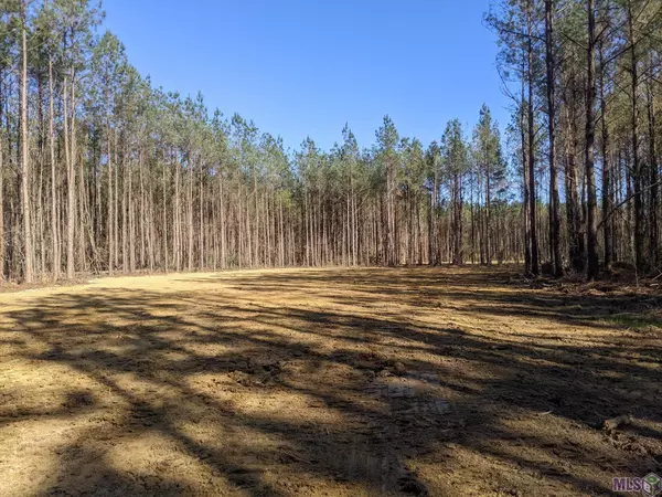 39798 Sand Hill Rd, Walker, LA 70785