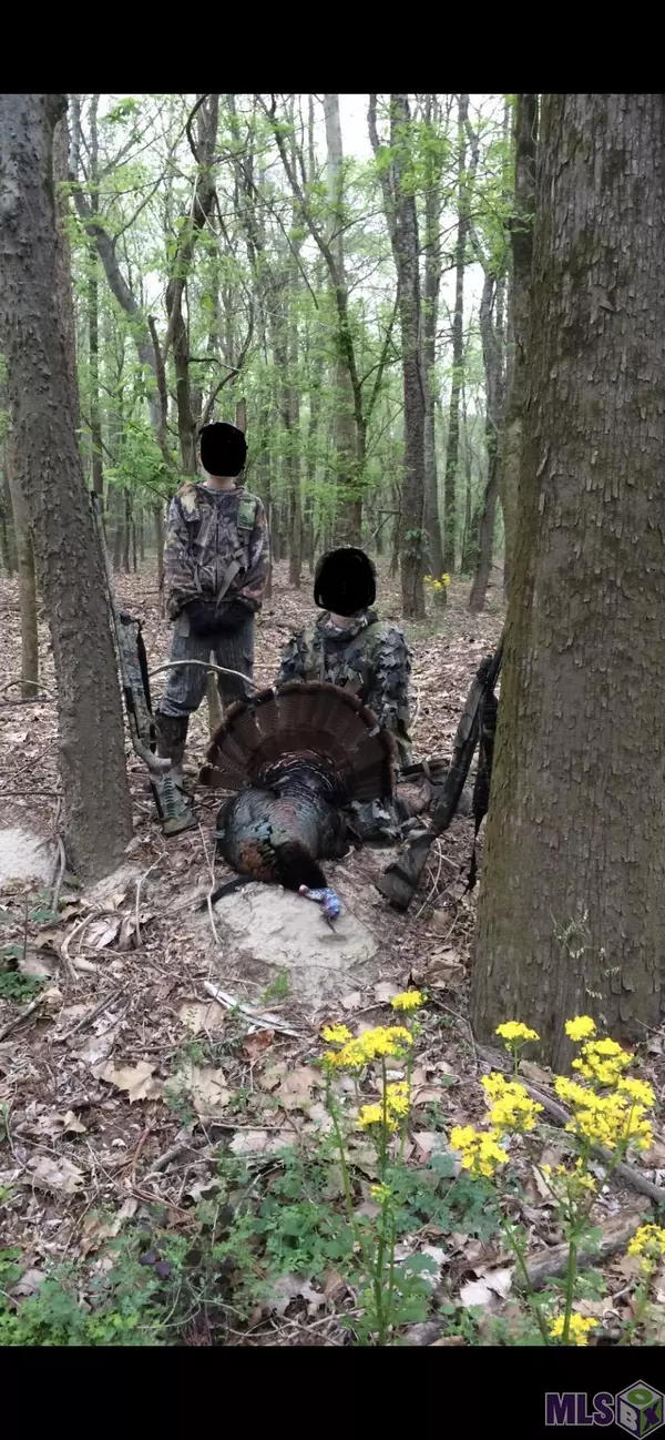 St Francisville, LA 70775,TBD Cat Island Rd