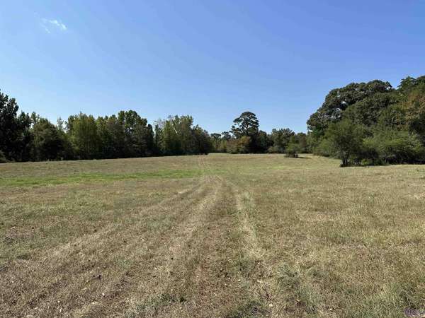 73225 La Hwy 1049, Kentwood, LA 70444