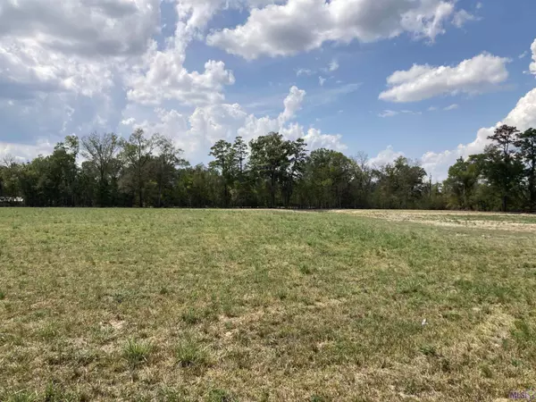 Prairieville, LA 70769,17164 La Hwy 933