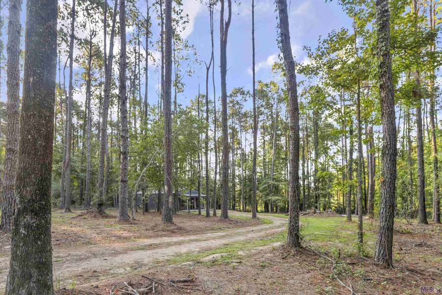 11524 Old Laurel Hill Rd, St Francisville, LA 70775