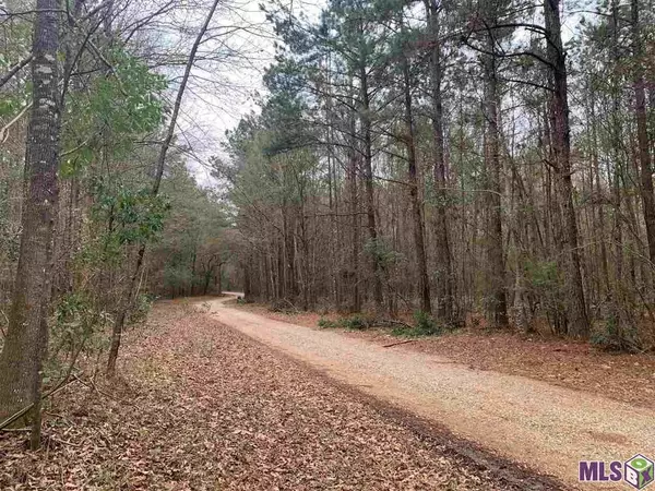 Lot 48 Burkett Ln, Denham Springs, LA 70706