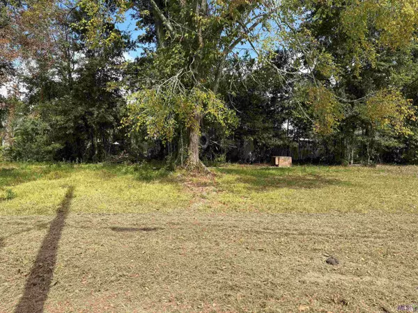 Baton Rouge, LA 70802,545 Cotton St