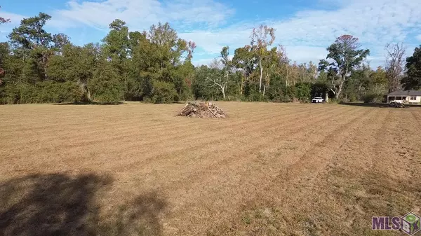 Albany, LA 70711,29056 Mary Kinchen Rd