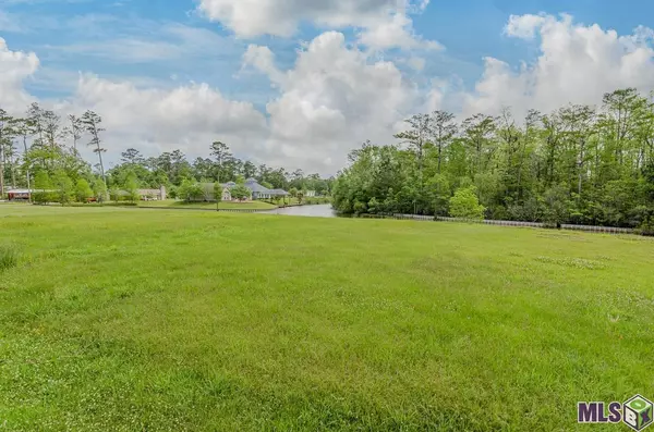 21554 Dolphin Ct, Springfield, LA 70462