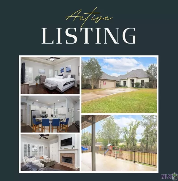 39061 Corinne Cir, Prairieville, LA 70769