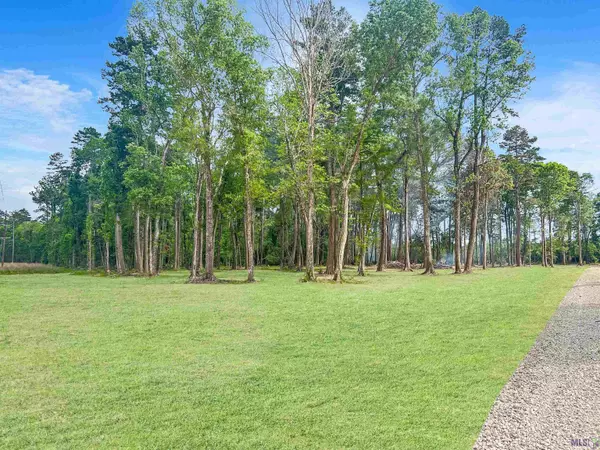 Walker, LA 70785,Tract EK-1 Springfield Rd