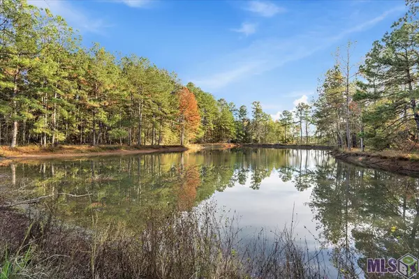 Albany, LA 70711,29166 Mary Kinchen Rd