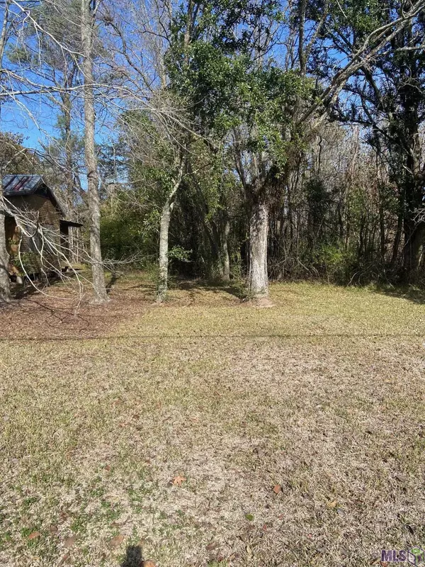 43222 Black Bayou Rd, Gonzales, LA 70737