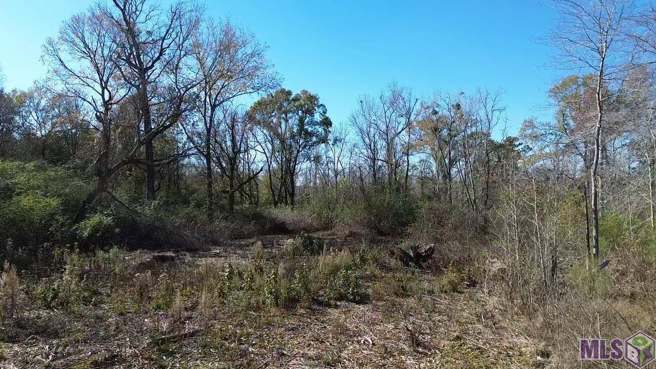 Parcel 5 W Horseshoe Rd, Amite, LA 70422