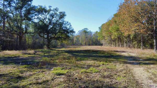 38965 N Walker Rd, Walker, LA 70785