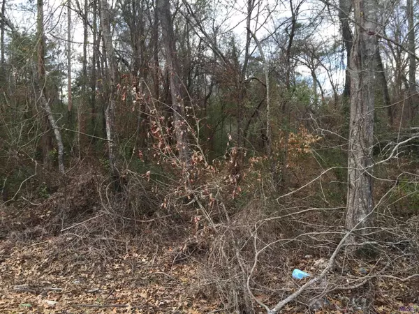 Holden, LA 70744,Rural Tract La Hwy 1036