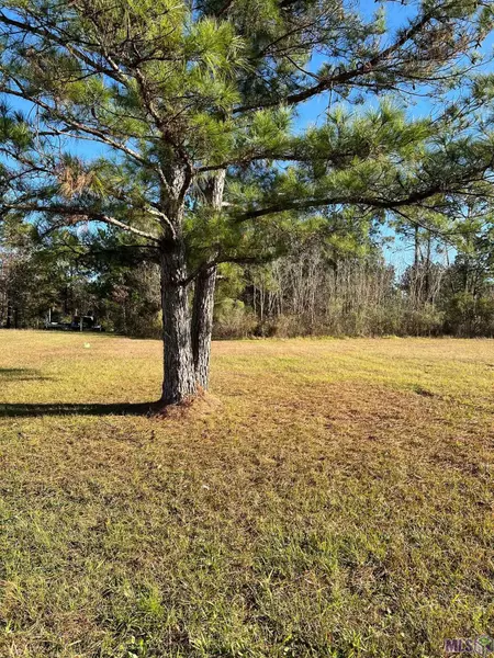 Lot 94 Ponchatoula Dr, Killian, LA 70462