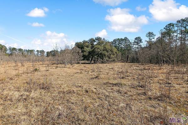 Tract A Leroe Ln, Walker, LA 70785