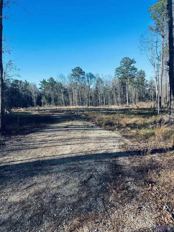Walker, LA 70785,36222 Weiss Rd