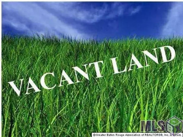 Lot N-1-A Bill Morgan Rd, Prairieville, LA 70769