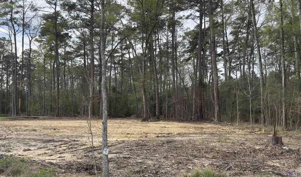 Lot B3 Reinninger Rd, Denham Springs, LA 70706