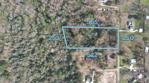 Greenwell Springs, LA 70739,18017 Frenchtown Acres Dr