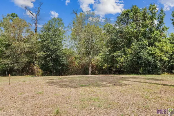 15018 Mill Settlement Trace, Port Vincent, LA 70726