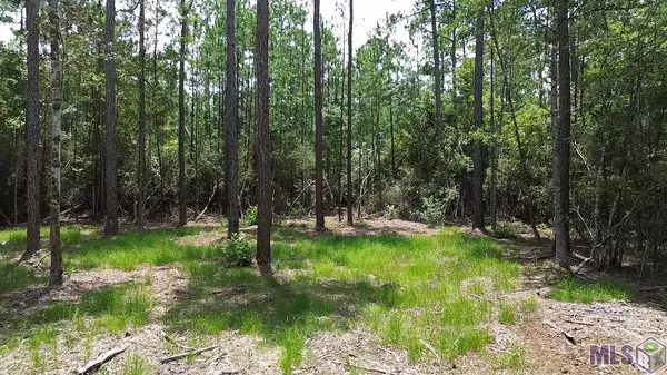 Covington, LA 70435,73359 & 73347 Penn Mill Rd