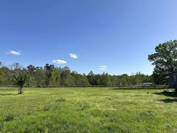 38975 Leggett Rd, Walker, LA 70785