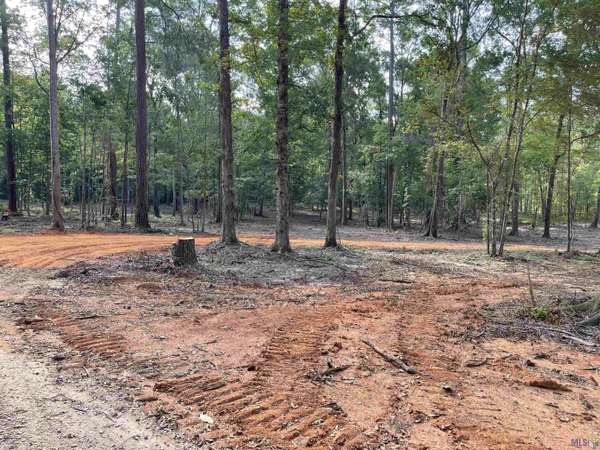 8177 Hepzibah Rd, Clinton, LA 70722