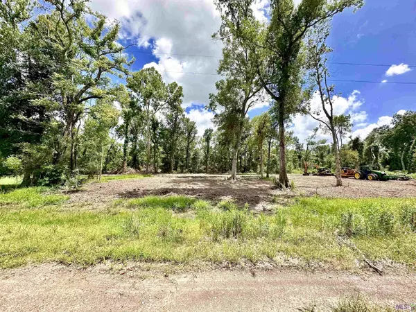 Gonzales, LA 70737,LOT B M P Evans Rd