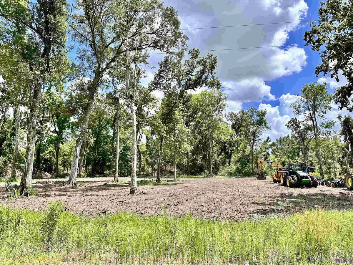 Gonzales, LA 70737,LOT B M P Evans Rd