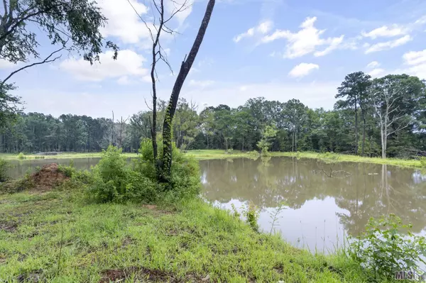 St Francisville, LA 70775,LOT 3-B-2 Old Laurel Hill Rd