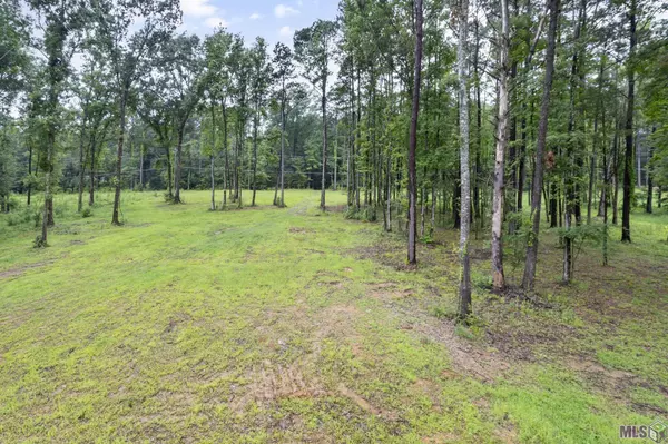 St Francisville, LA 70775,LOT 3-B-2 Old Laurel Hill Rd