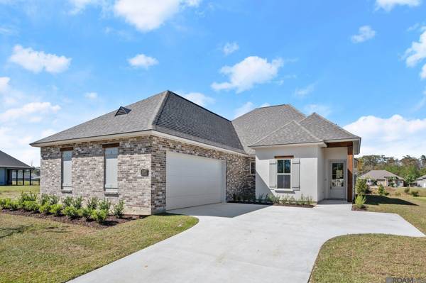 21489 Bluefin Dr, Springfield, LA 70462