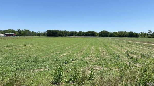 Lot SL-TBD La Hwy 642, Paulina, LA 70763